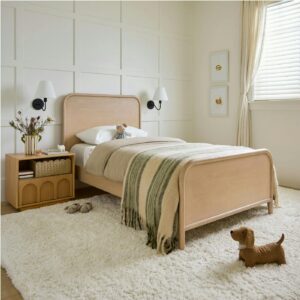 Softi 8 x 10 Rug - Pumice Ivory