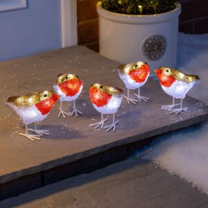 Acrylic Robin Lights – Set of 5