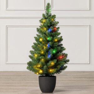 3ft Pre-Lit Avila Spruce Potted Artificial Christmas Tree
