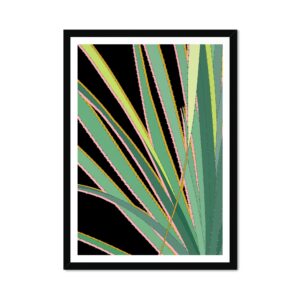 Equatorial Cactus Fine Art Print Black 02