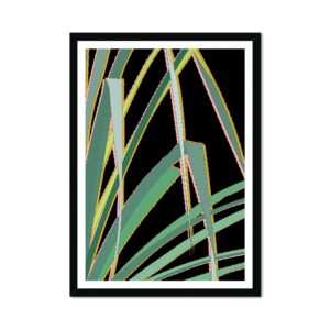 Equatorial Cactus Fine Art Print Black 01