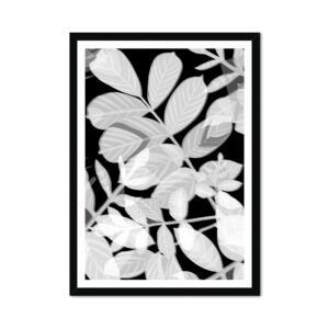 Leaf Negative Fine Art Print 02