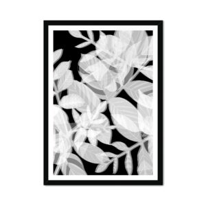 Leaf Negative Fine Art Print 03