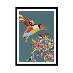 Colour Pop Puffin in Flight Fine Art Print