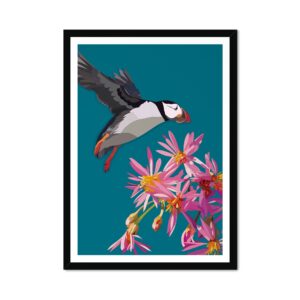 Sea Aster Puffin in Flight Fine Art Print