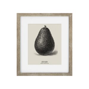 Vintage Avocado Framed Print