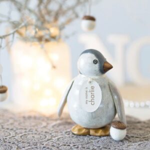 Baby Emperor Penguin
