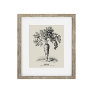 Vintage Carrot Framed Print