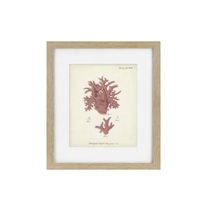 Antique Pink Coral Framed Art Print VI