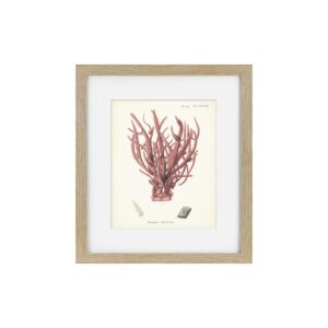 Antique Pink Coral Framed Art Print V