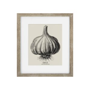 Vintage Garlic Framed Print