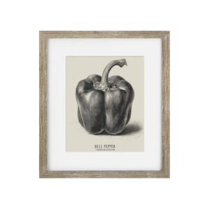 Vintage Bell Pepper Framed Print
